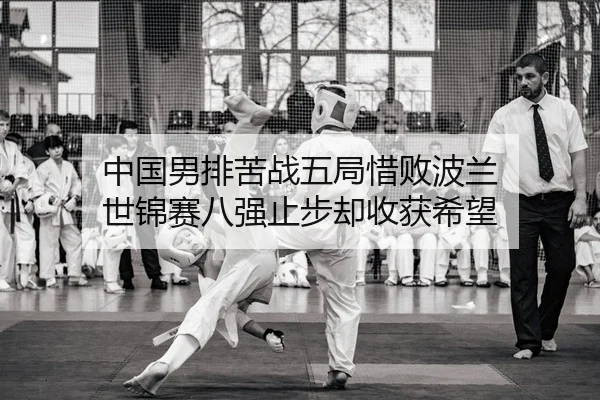 中国男排苦战五局惜败波兰 世锦赛八强止步却收获希望